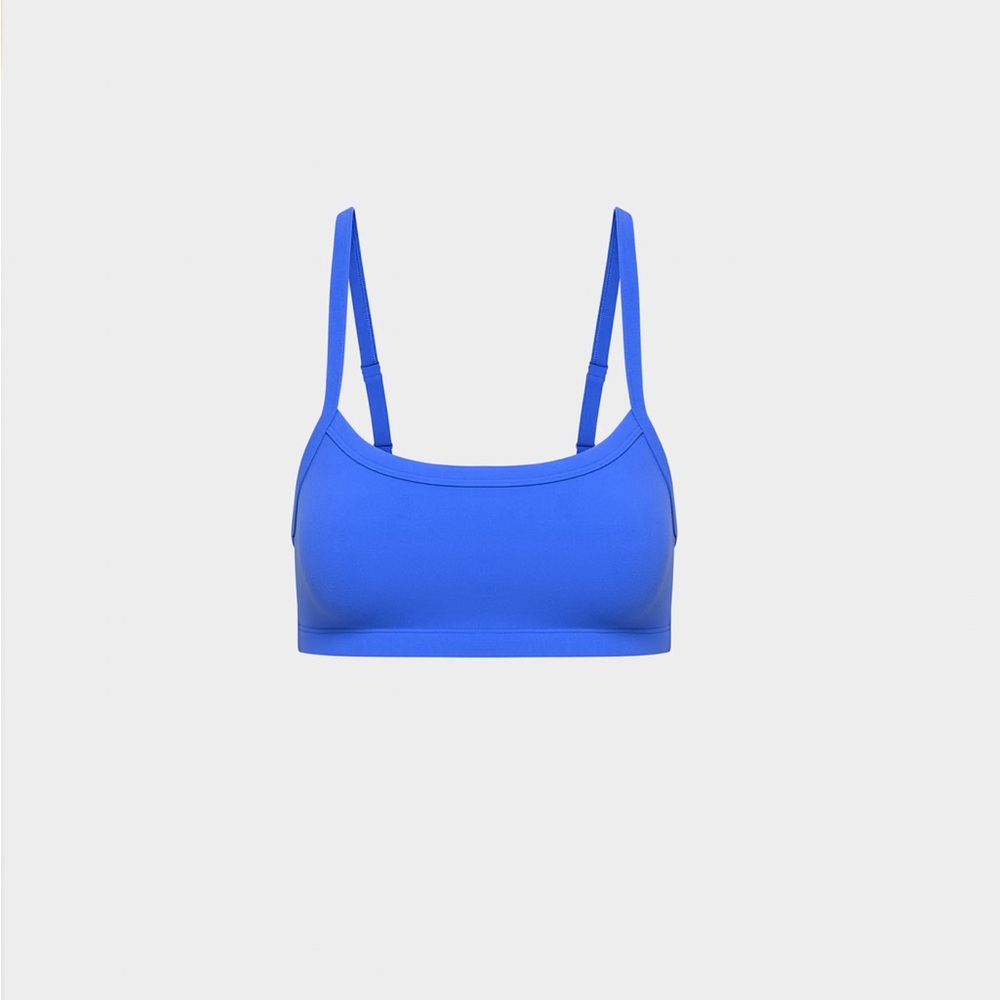 Aritzia Golden Butter Tumbler Bra Top in Jazz Blue